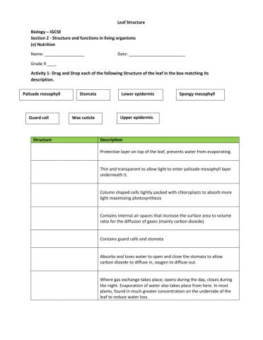 Leaf Structure Activity 1 