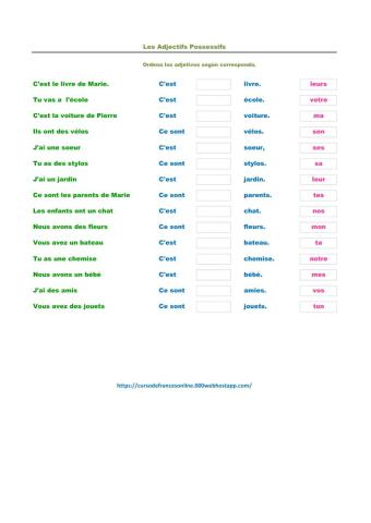 Adjectifs Possessifs