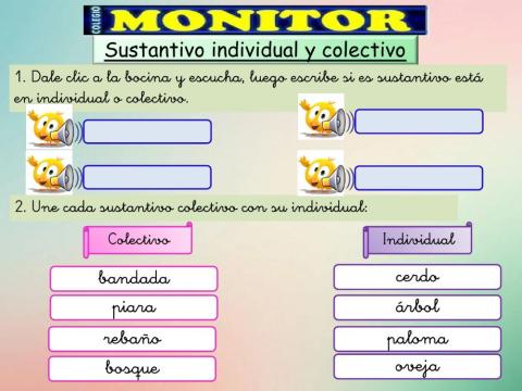 Sustantivo individual y colectivo