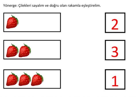 Rakamlar Eşleştirme (1-2-3)