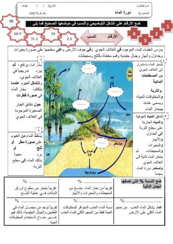 ورقة 12تفاعليةع