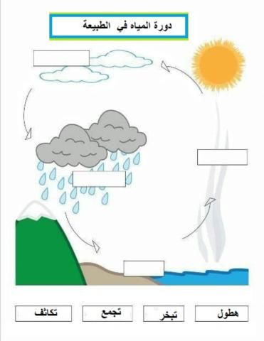 دورة المياه في الطبيعة