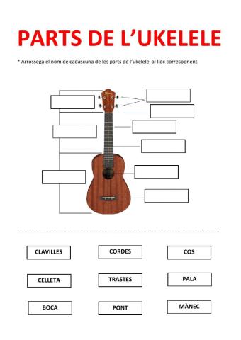 Parts de l'ukelele