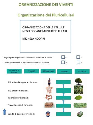 Scienze classificazione viventi