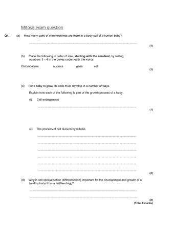 Mitosis exam question