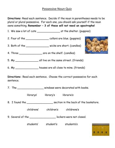 Possessive Nouns Quiz