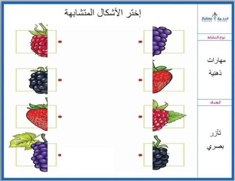 مهارات