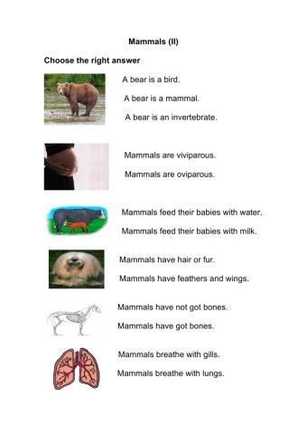 Mammals