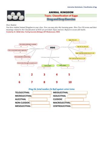 Animal Kingdom: Classification of Eggs