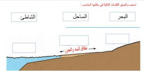 بطاقة عمل