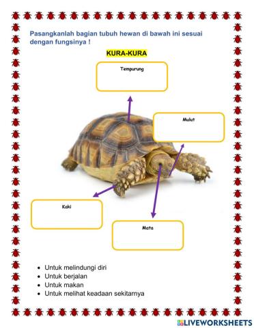 T2 ST2 PB3 -Bagian dan Fungsi Tubuh Hewan-