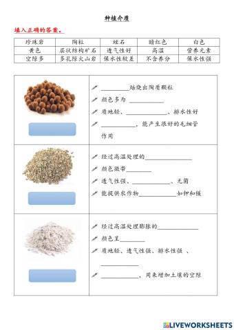 单元四 都市的绿意