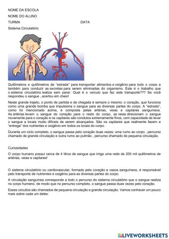 Sistema circulatório