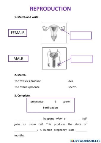 Reproduction