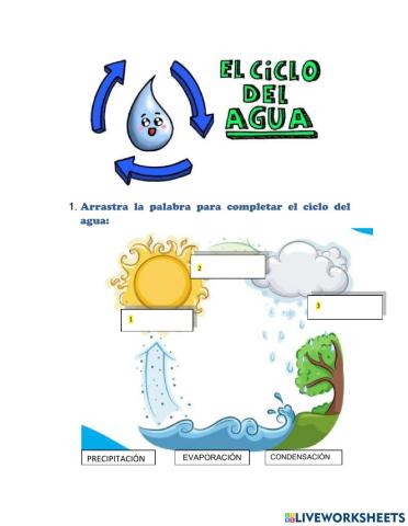 El ciclo del agua