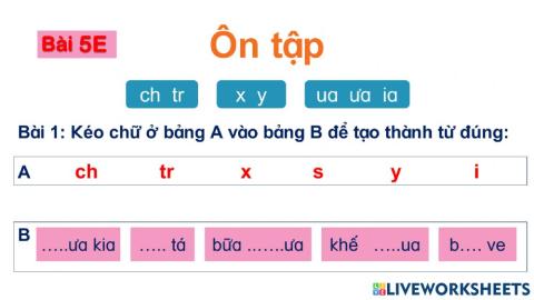 Bài 5E: Ôn tập