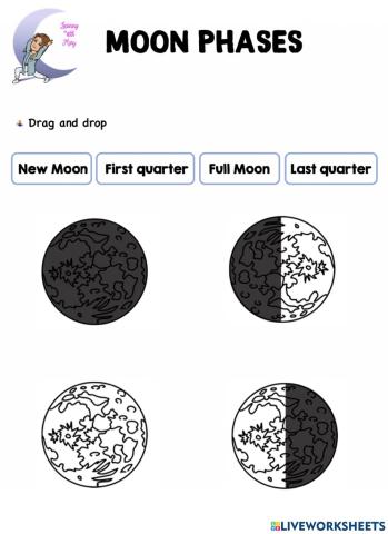 Moon Phases