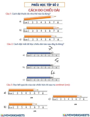 Các bước đo chiều dài