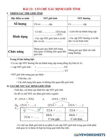 Cơ chế xác định giới tính