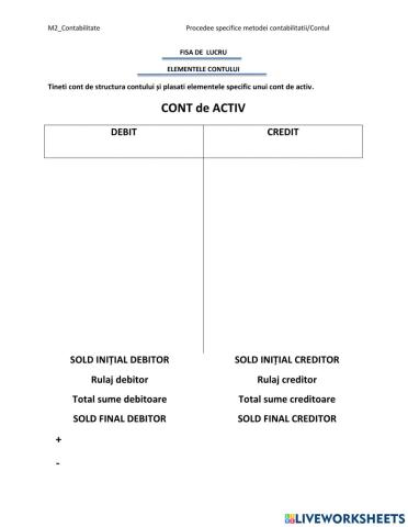 Elementele conturilor de activ