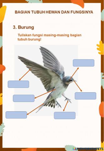 Fungsi Bagian Burung