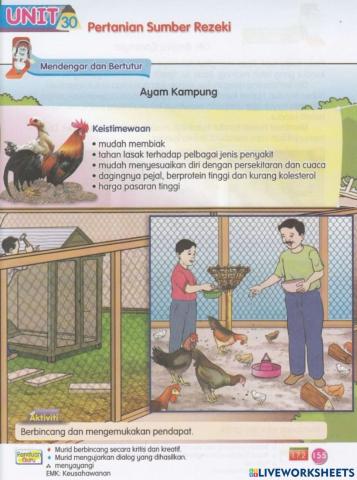 Ayam kampung