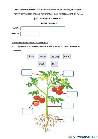 Kuiz sains tahun 1