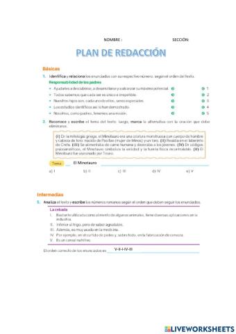 Plan de redacción