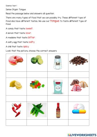 Sense Organ : Tongue