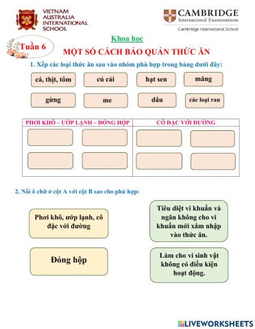 Khoa học Tuần 6 - Một số cách bảo quản thức ăn