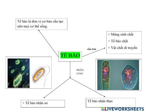 Sinh 10 bài 7,8,9,10