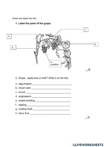 Life in the garden test