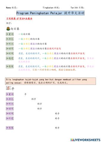 习写段落