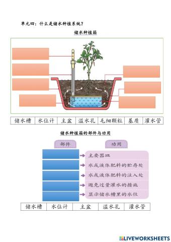 单元 4：什么是储水种植系统？