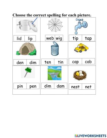 CVC Revision