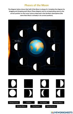 Phases of the Moon