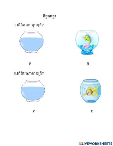 កិច្ចការផ្ទះ