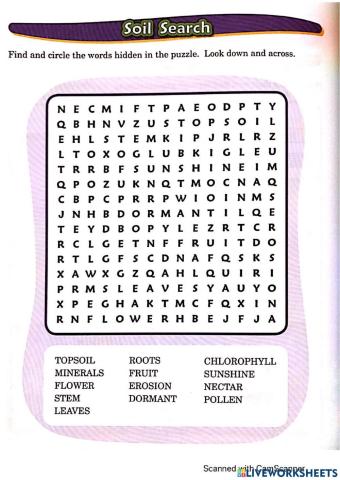 Soil Word Search