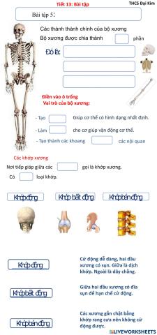 Tiết 13: Bài tập- ( Trường THCS Đại Kim- HS)