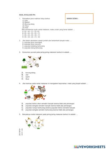 Soal evaluasi ipa 3