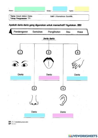 Latihan KPS Sains Tahun 1