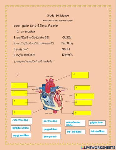 Workssheet