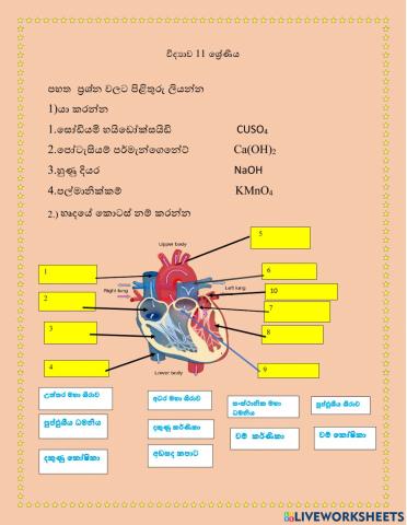 Worksheet