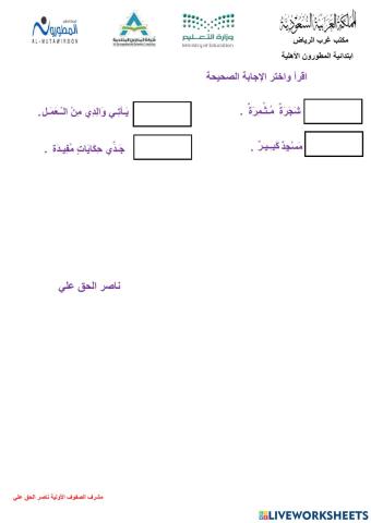 ورقة تفاعلية استخدام هذا- هذه- أدوات الاستفهام-تذكير الفعل مع الفاعل مدارس المطورون ناصر الحق 