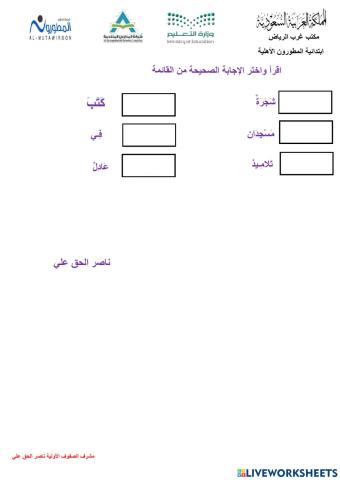 المفرد - المثنى - الجمع - الاسم - الفعل - الحرف مدارس المطورون - ناصر الحق