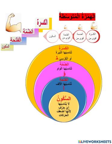 الهمزة المتوسّطة