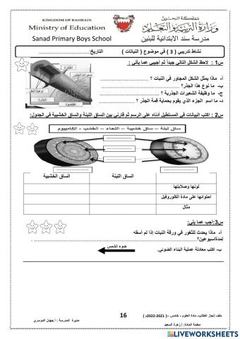 مراجعة درس النباتات