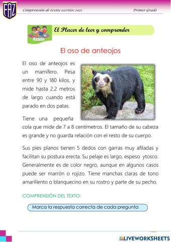 El oso de anteojos