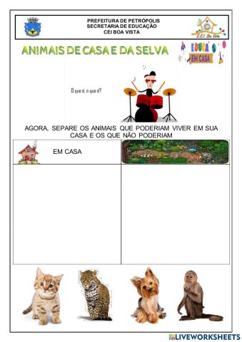 Animais