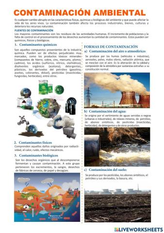 Contaminacion ambiental